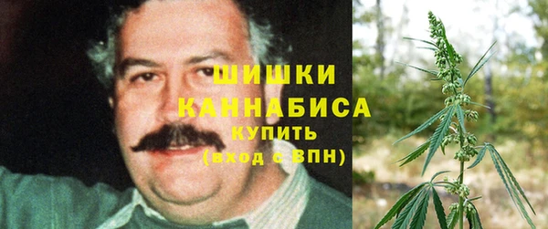 ГАЛЛЮЦИНОГЕННЫЕ ГРИБЫ Баксан