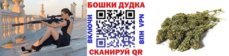 Купить где  Афипский  Бошки марихуана конопля 